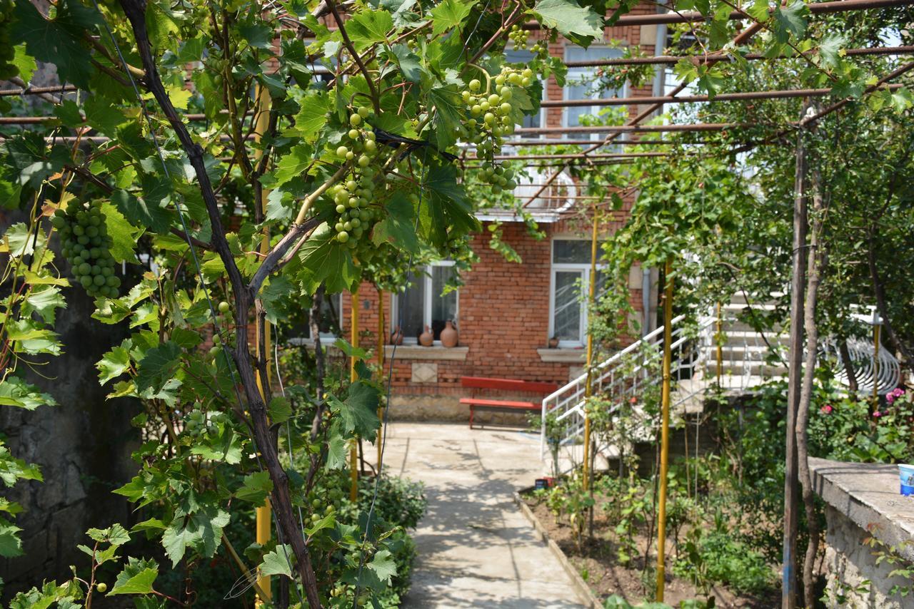 Friends House Ξενοδοχείο Κουτάισι Εξωτερικό φωτογραφία
