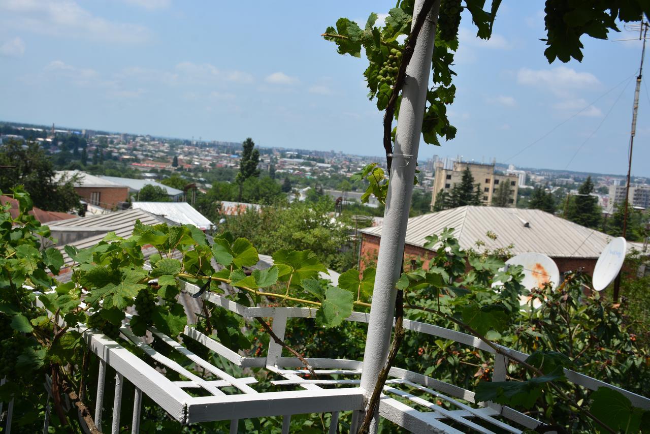 Friends House Ξενοδοχείο Κουτάισι Εξωτερικό φωτογραφία