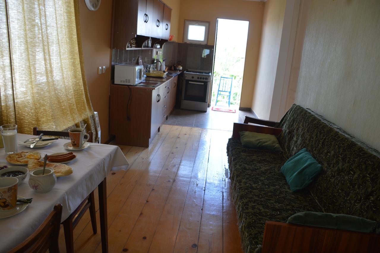 Friends House Ξενοδοχείο Κουτάισι Εξωτερικό φωτογραφία